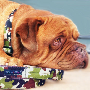 Camo Leashes