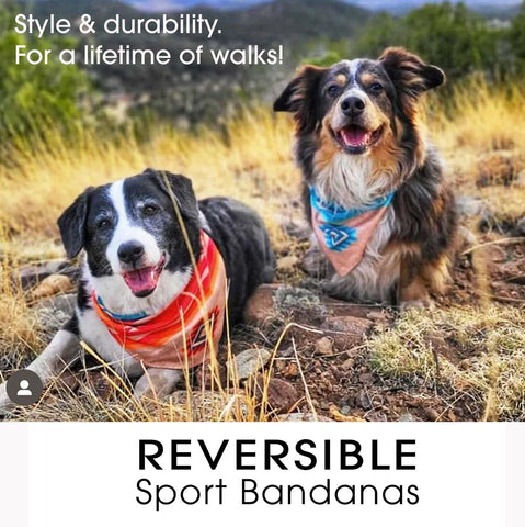 Sport Bandanas - Reversible!