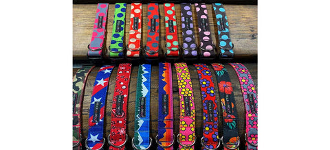 See ALL Our Collars