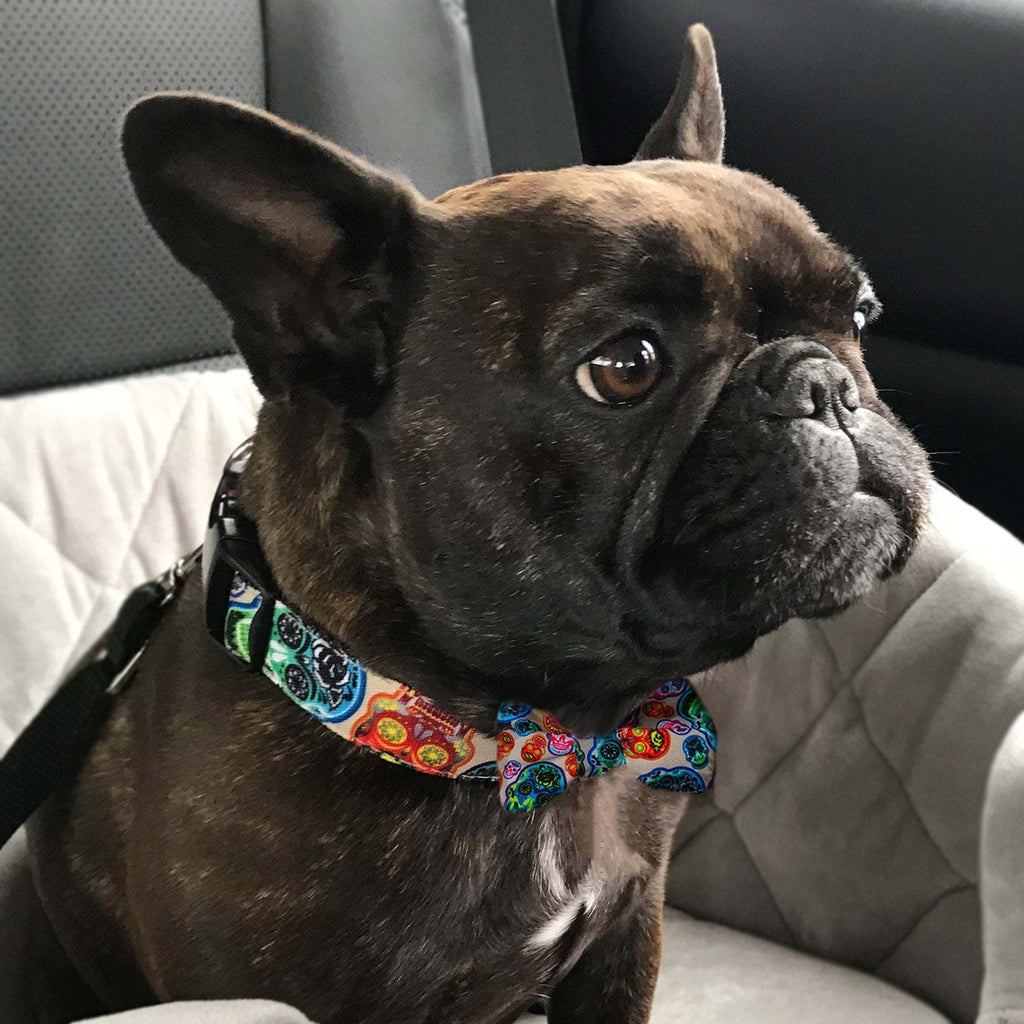 Halloween Dog Collar, Skeleton Dog Collar With Flower, Skull Dog Halloween Dog Collar, Skeleton Dog Collar With Flower, Skull Dog