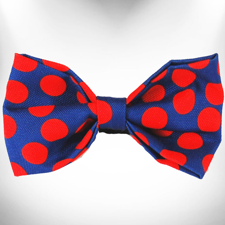 Red Polka Dot on Blue Doggie Bow Tie