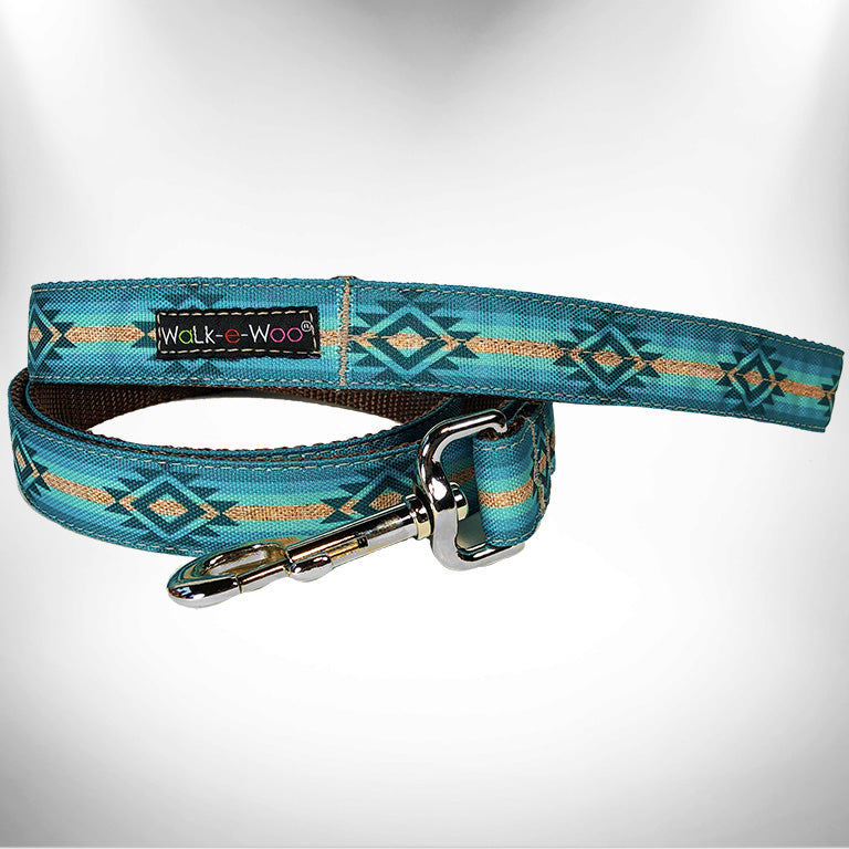 Turquoise dog sale collar and leash