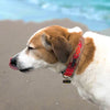 Tribal Dog Collars feature a red nylon strap with a bold geometric tribal pattern and metal ID tag